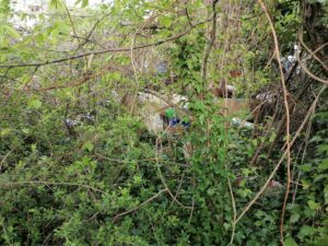 Müll in einer verwilderten Parzelle